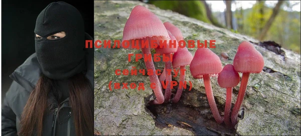 mdpv Алексеевка
